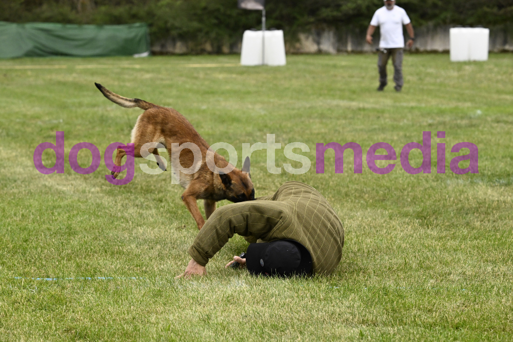 Preview _JRI_21693.jpg